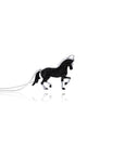 Black Diamond Dressage Necklace