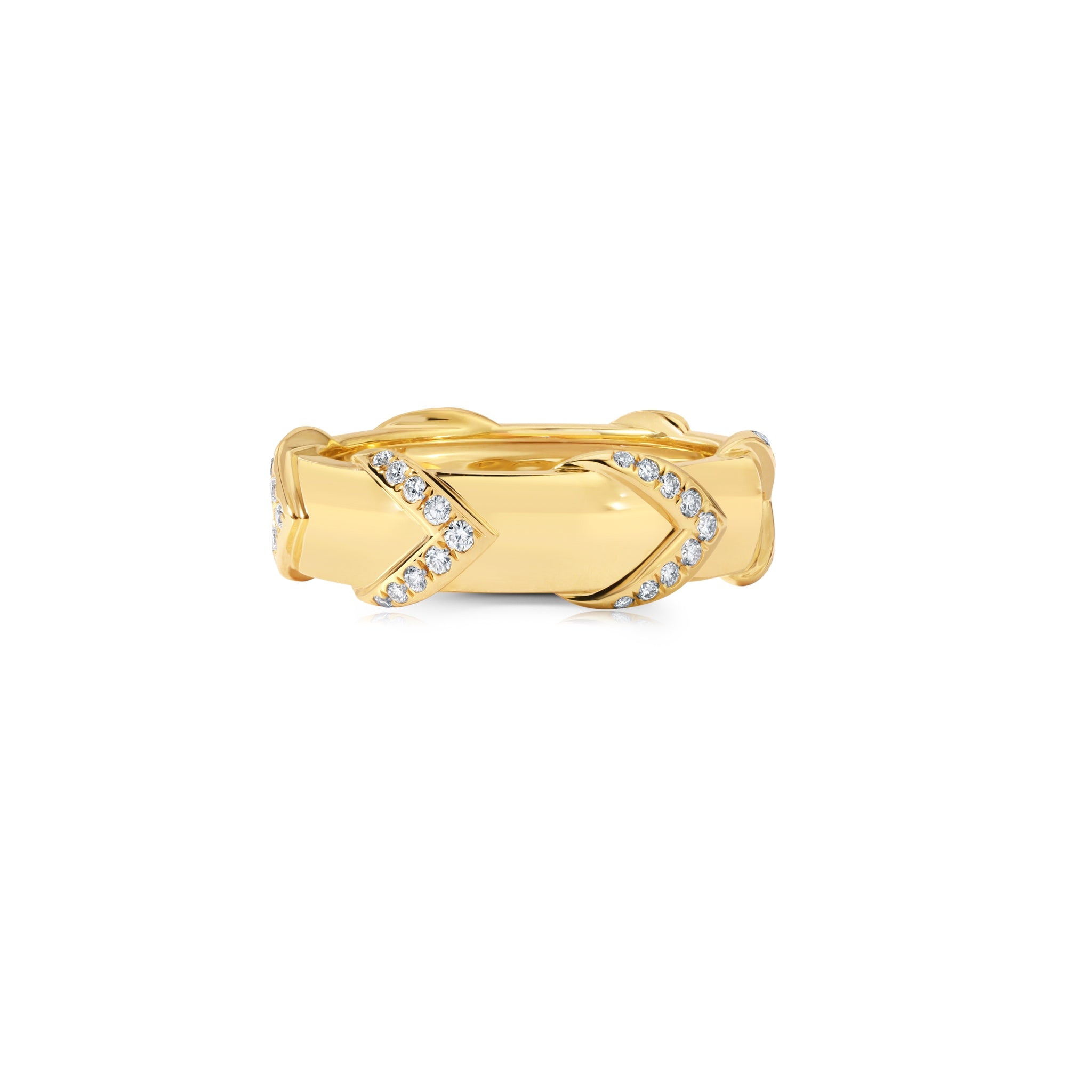 Chevron Rein Ring