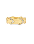 Chevron Rein Ring